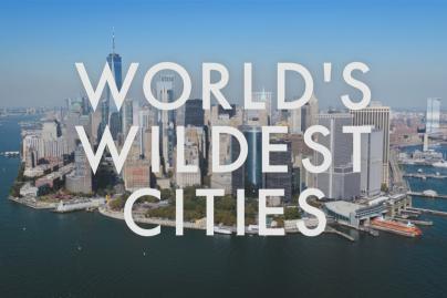World's Wildest Cities